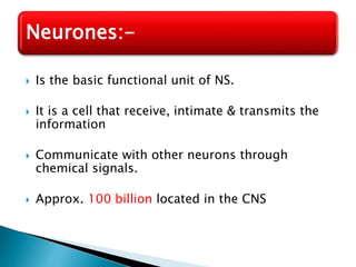 Neurones:-
 Is the basic functional unit of NS.
 It is a cell that receive, intimate & transmits the
information
 Communicate with other neurons through
chemical signals.
 Approx. 100 billion located in the CNS
 
