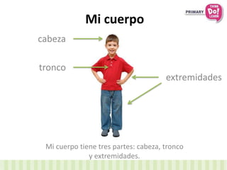 Mi cuerpo
Mi cuerpo tiene tres partes: cabeza, tronco
y extremidades.
extremidades
cabeza
tronco