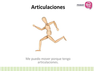 Articulaciones
Me puedo mover porque tengo
articulaciones.