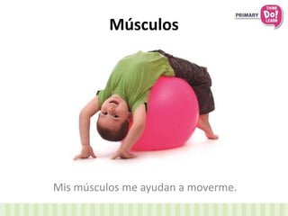 Músculos
Mis músculos me ayudan a moverme.