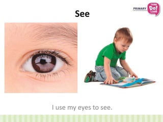 See 
I use my eyes to see. 
 
