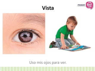 Vista 
Uso mis ojos para ver. 
 