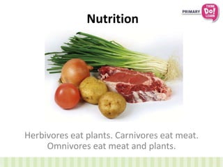 Nutrition
Herbivores eat plants. Carnivores eat meat.
Omnivores eat meat and plants.
 