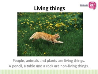 Living things
People, animals and plants are living things.
A pencil, a table and a rock are non-living things.