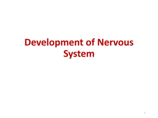 Development of Nervous
System
1
 