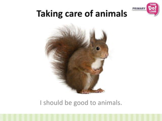 Taking care of animals
I should be good to animals.
 