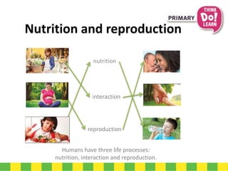 Nutrition and reproduction
nutrition
interaction
reproduction
Humans have three life processes:
nutrition, interaction and reproduction.