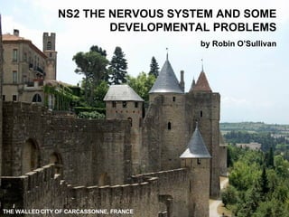 NS2 THE NERVOUS SYSTEM AND SOME DEVELOPMENTAL PROBLEMS by Robin O’Sullivan THE WALLED CITY OF CARCASSONNE, FRANCE 