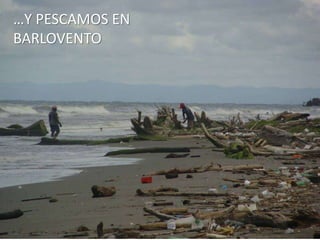 …Y PESCAMOS EN
BARLOVENTO
 
