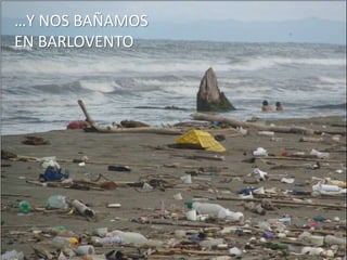 …Y NOS BAÑAMOS
EN BARLOVENTO
 