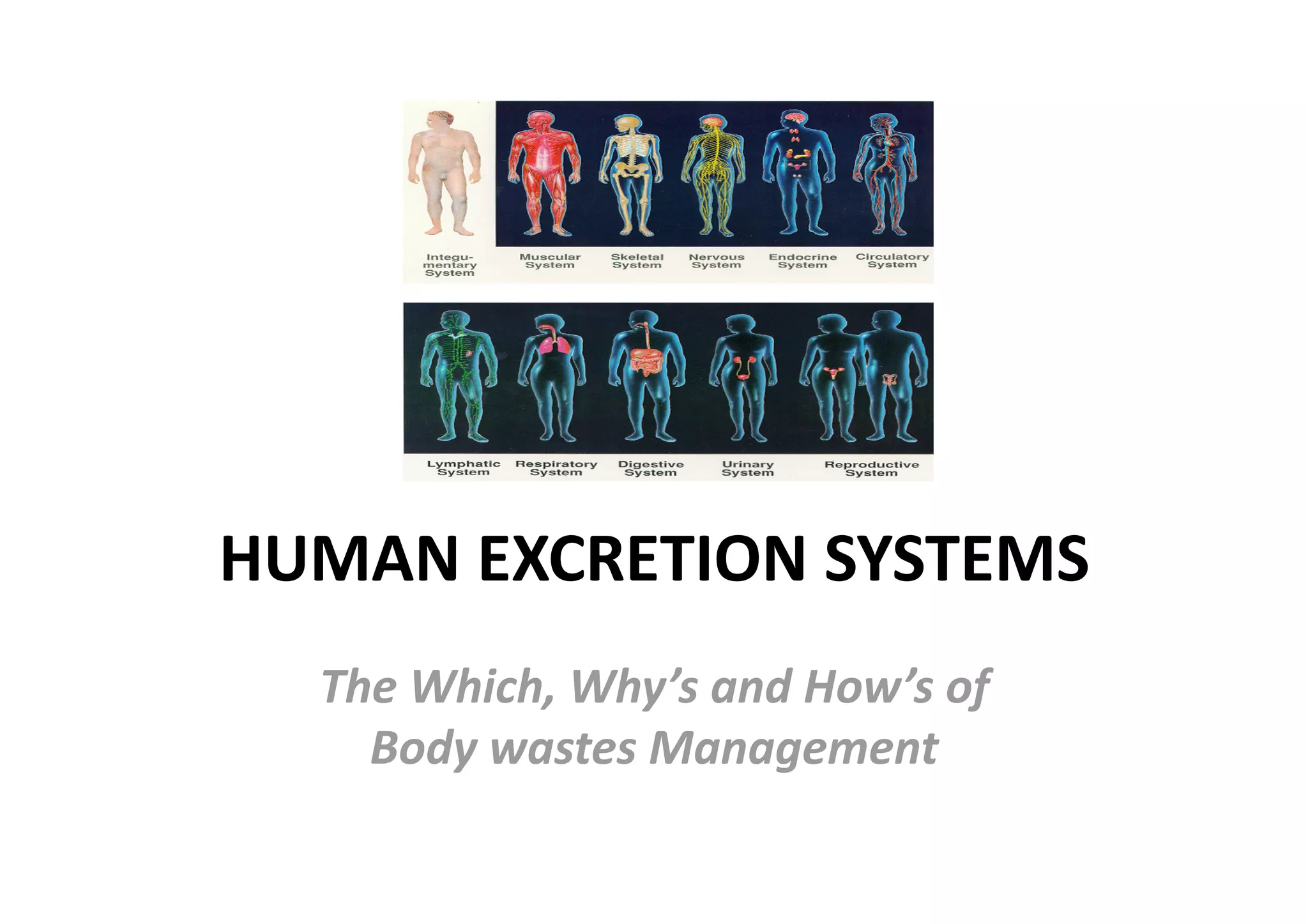 HUMAN EXCRETION SYSTEMS 
  The Which, Why’s and How’s of 
    Body wastes Management 
 