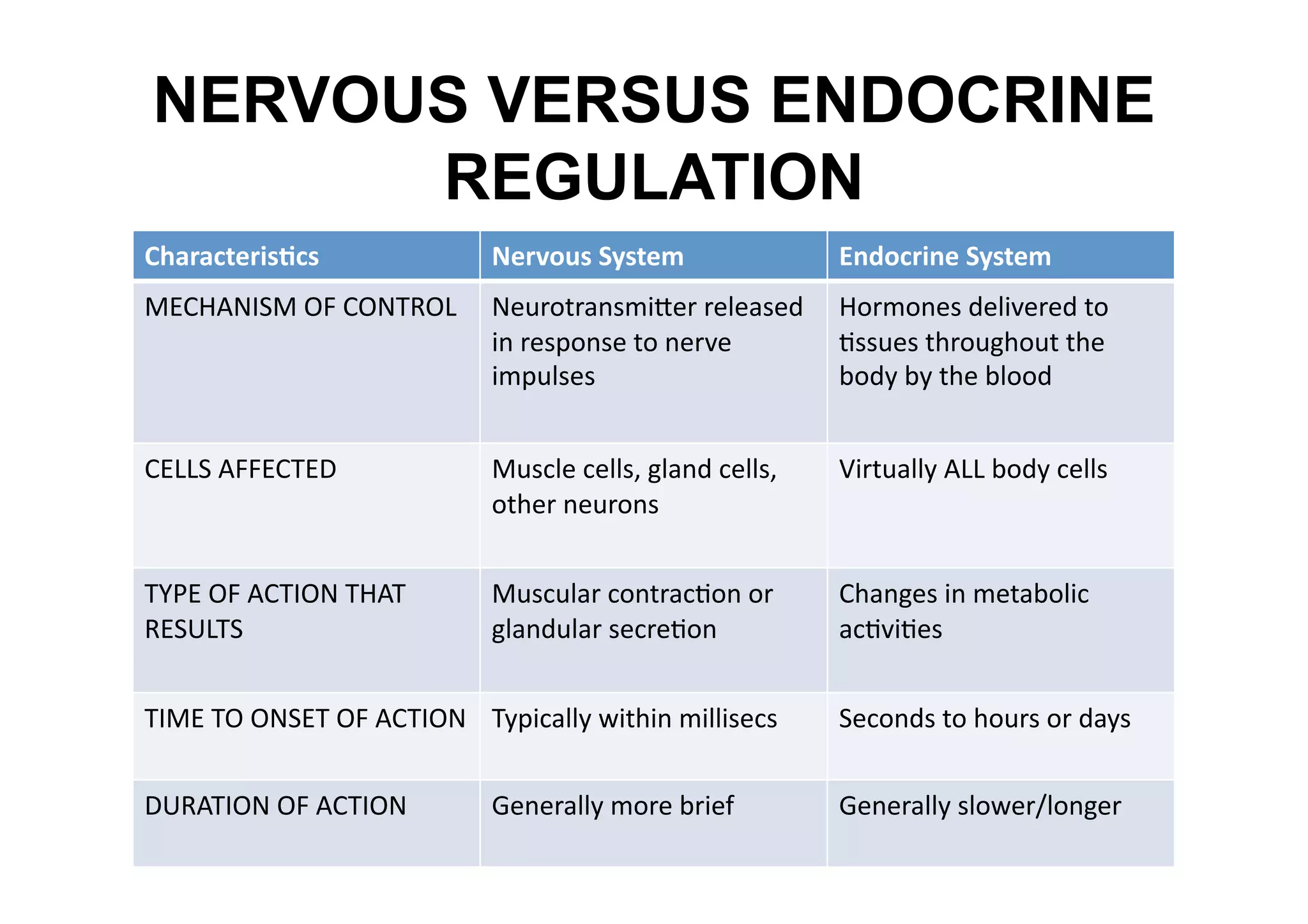 NERVOUS VERSUS ENDOCRINE
      REGULATION
Characteris_cs              Nervous System                Endocrine System 
MECHANISM OF CONTROL  Neurotransmiher released  Hormones delivered to 
                      in response to nerve      Mssues throughout the 
                      impulses                  body by the blood 


CELLS AFFECTED              Muscle cells, gland cells,    Virtually ALL body cells 
                            other neurons 


TYPE OF ACTION THAT         Muscular contracMon or        Changes in metabolic 
RESULTS                     glandular secreMon            acMviMes 


TIME TO ONSET OF ACTION  Typically within millisecs       Seconds to hours or days 


DURATION OF ACTION          Generally more brief          Generally slower/longer 
 