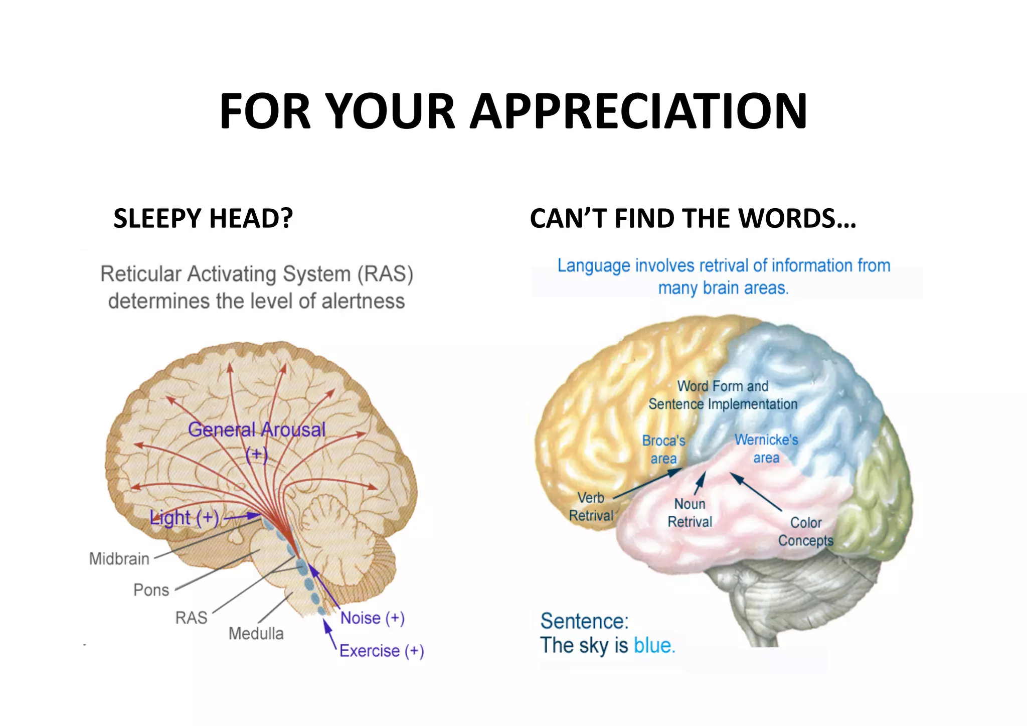 FOR YOUR APPRECIATION 
SLEEPY HEAD?      CAN’T FIND THE WORDS… 
 
