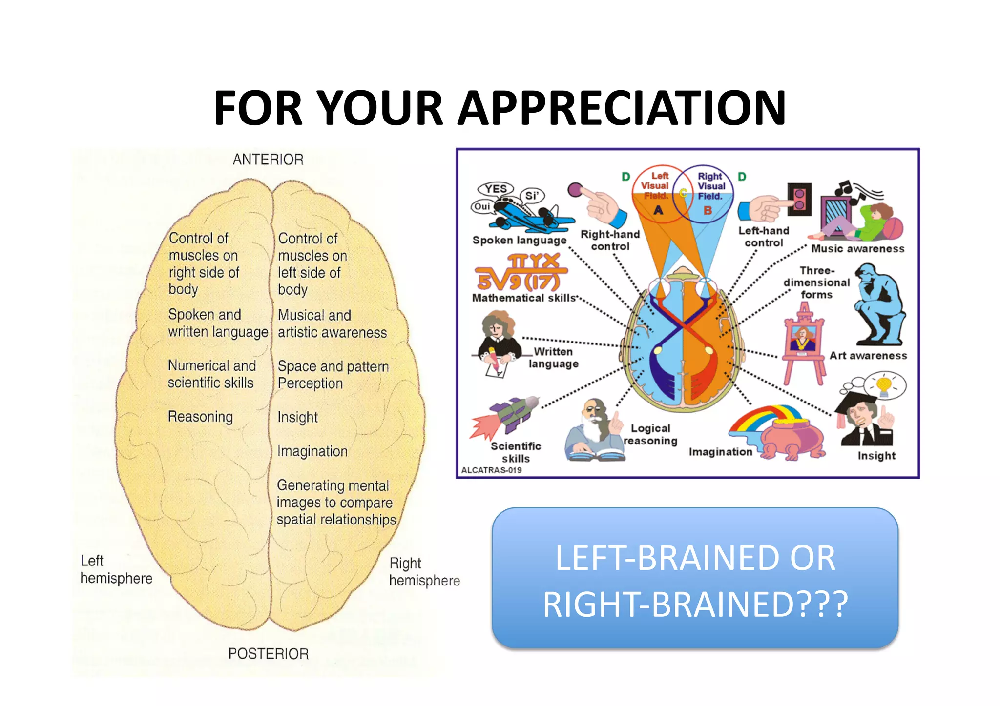 FOR YOUR APPRECIATION 




             LEFT‐BRAINED OR 
            RIGHT‐BRAINED??? 
 