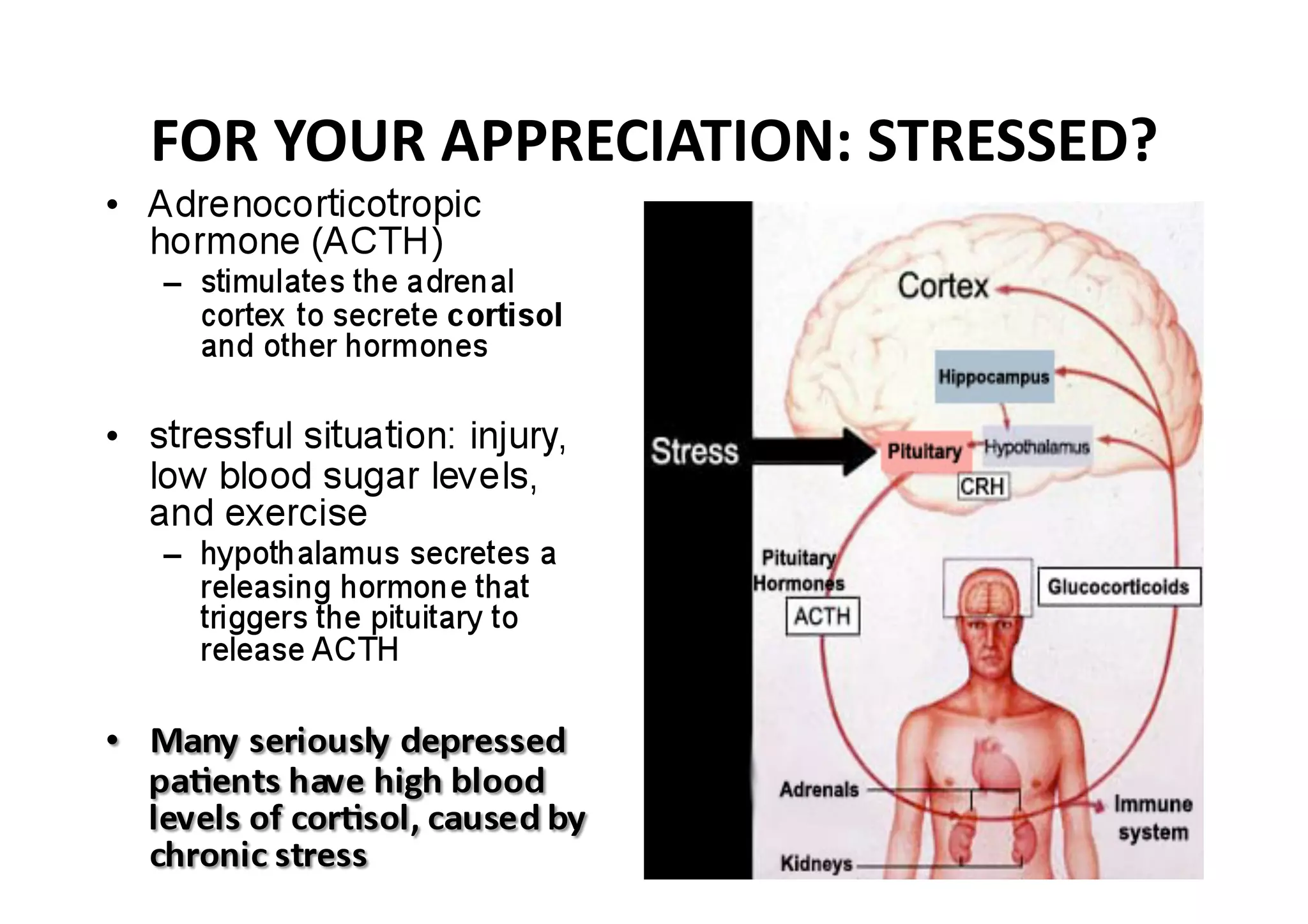 FOR YOUR APPRECIATION: STRESSED? 
 