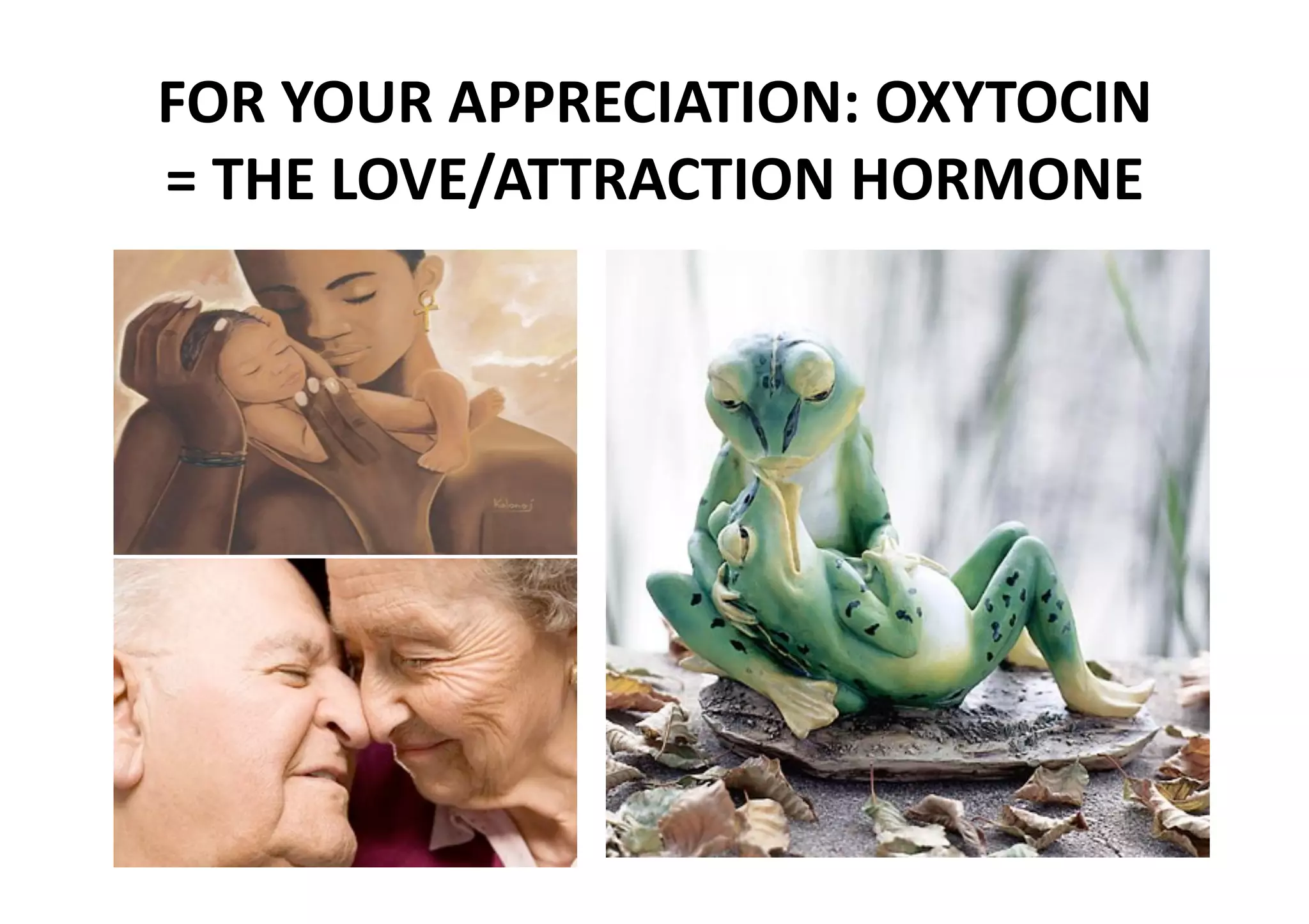 FOR YOUR APPRECIATION: OXYTOCIN 
= THE LOVE/ATTRACTION HORMONE 
 