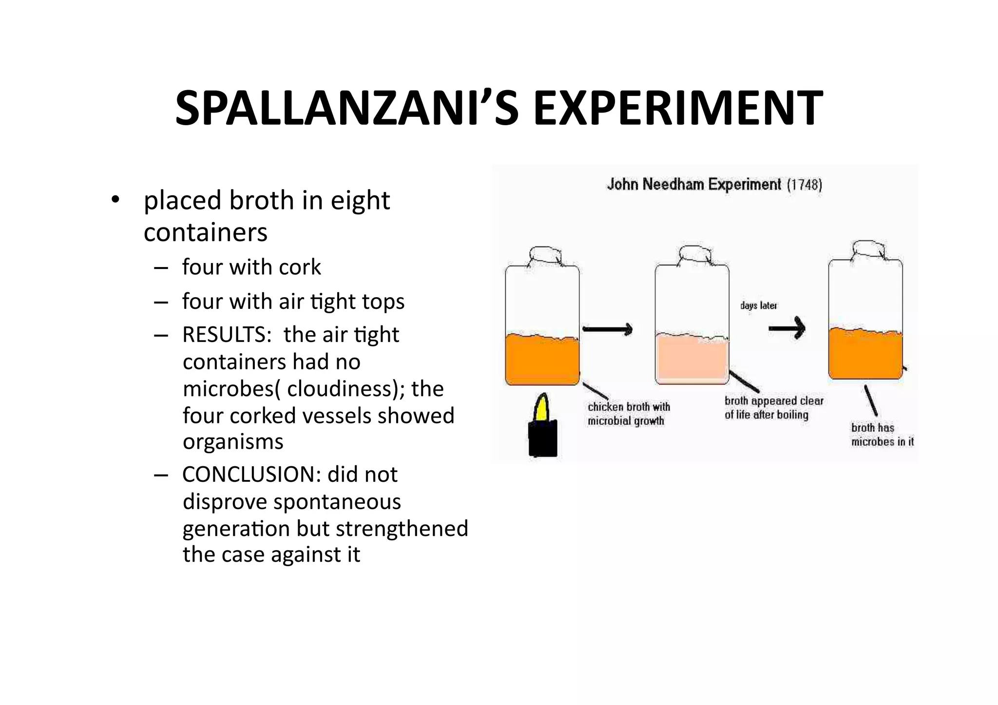 SPALLANZANI’S EXPERIMENT 
•  placed broth in eight 
   containers 
   –  four with cork 
   –  four with air Mght tops 
   –  RESULTS:  the air Mght 
      containers had no 
      microbes( cloudiness); the 
      four corked vessels showed 
      organisms 
   –  CONCLUSION: did not 
      disprove spontaneous 
      generaMon but strengthened 
      the case against it 

         
 