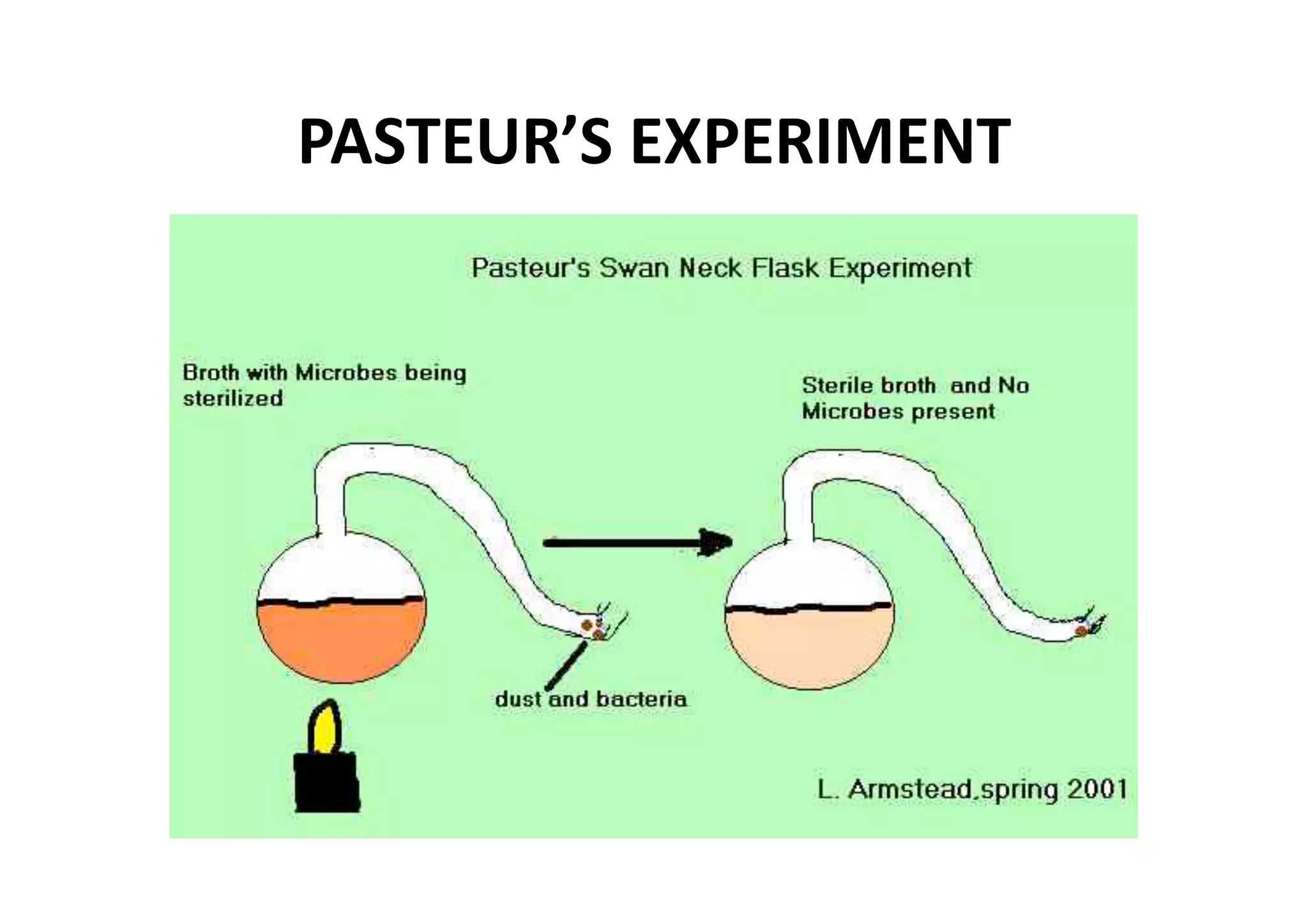 PASTEUR’S EXPERIMENT 
 