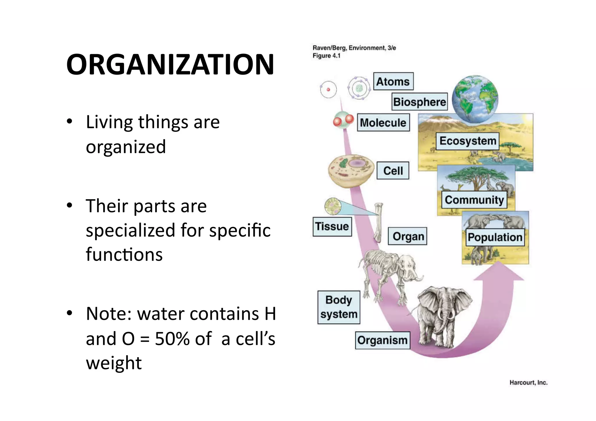 ORGANIZATION 
•  Living things are 
   organized 

•  Their parts are 
   specialized for speciﬁc 
   funcMons 

•  Note: water contains H 
   and O = 50% of  a cell’s 
   weight 
 