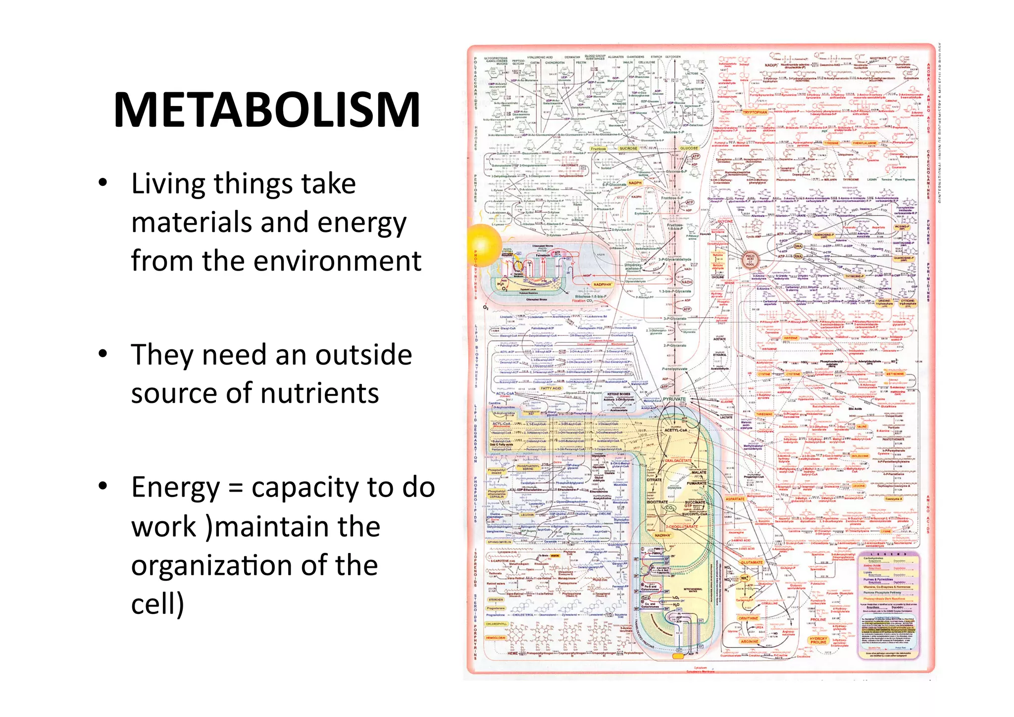METABOLISM 
•  Living things take 
   materials and energy 
   from the environment 

•  They need an outside 
   source of nutrients 

•  Energy = capacity to do 
   work )maintain the 
   organizaMon of the 
   cell) 
 