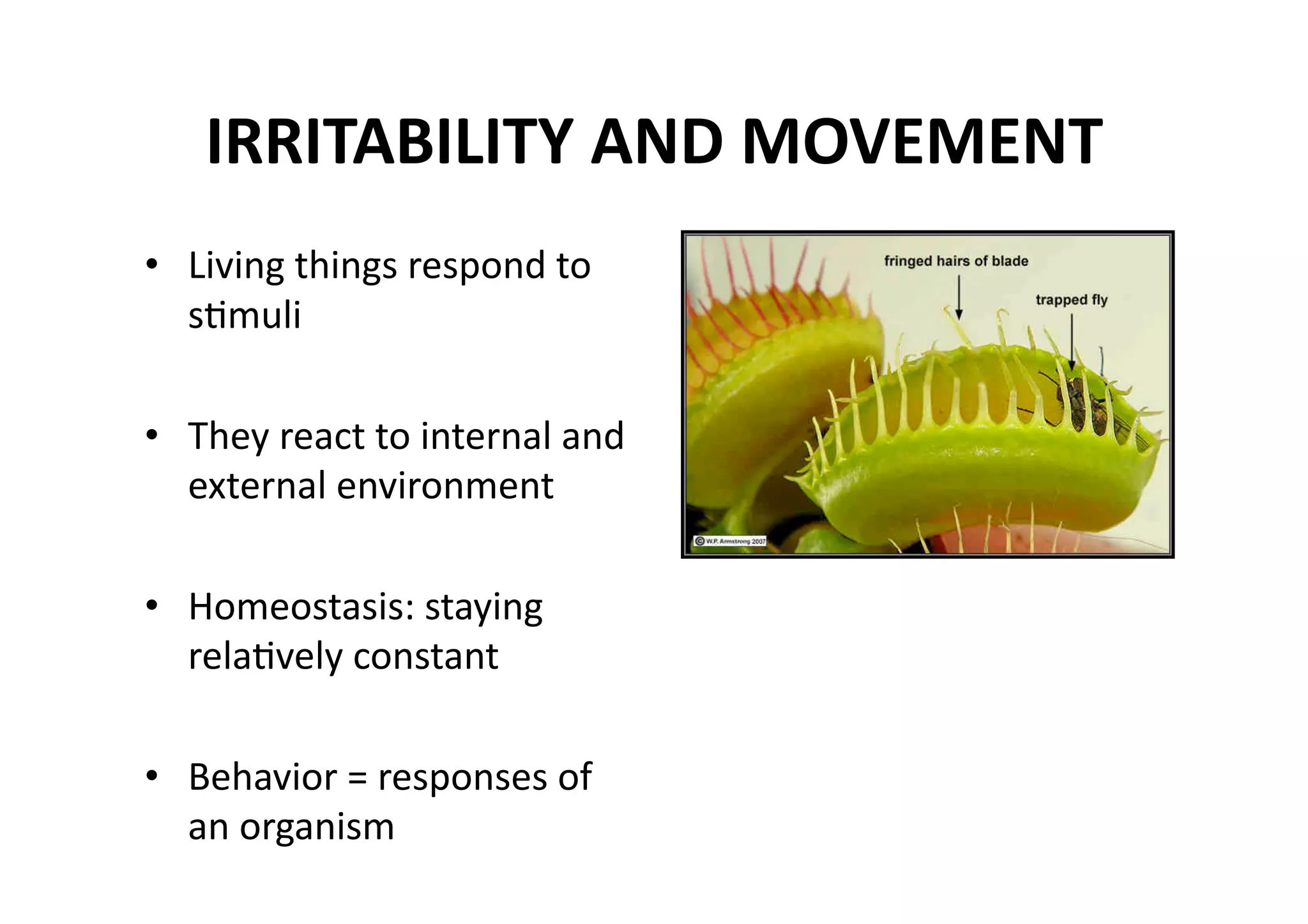 IRRITABILITY AND MOVEMENT 
•  Living things respond to 
   sMmuli 

•  They react to internal and 
   external environment 

•  Homeostasis: staying 
   relaMvely constant 

•  Behavior = responses of 
   an organism 
 
