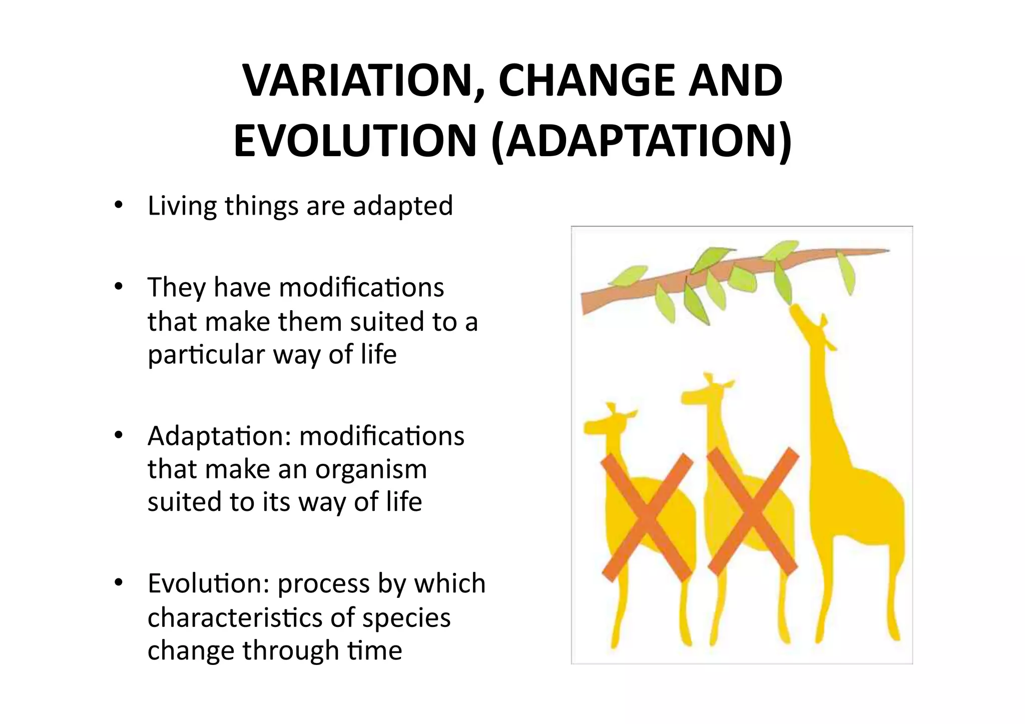 VARIATION, CHANGE AND 
         EVOLUTION (ADAPTATION) 
•  Living things are adapted 

•  They have modiﬁcaMons 
   that make them suited to a 
   parMcular way of life 

•  AdaptaMon: modiﬁcaMons 
   that make an organism 
   suited to its way of life 

•  EvoluMon: process by which 
   characterisMcs of species 
   change through Mme  
 