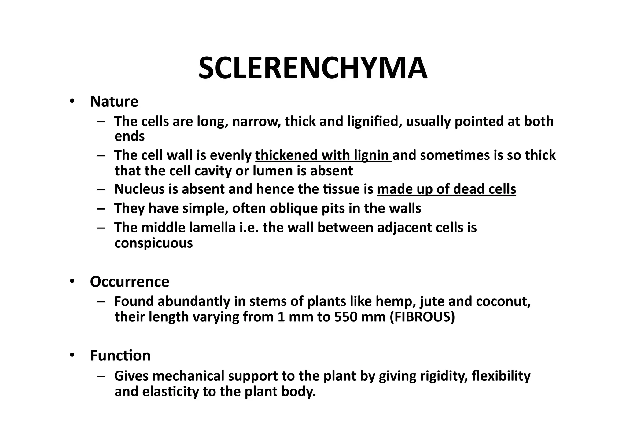 SCLERENCHYMA 
•  Nature 
   –  The cells are long, narrow, thick and ligniﬁed, usually pointed at both 
      ends 
   –  The cell wall is evenly thickened with lignin and some_mes is so thick 
      that the cell cavity or lumen is absent 
   –  Nucleus is absent and hence the _ssue is made up of dead cells 
   –  They have simple, ogen oblique pits in the walls 
   –  The middle lamella i.e. the wall between adjacent cells is 
      conspicuous 

•  Occurrence 
   –  Found abundantly in stems of plants like hemp, jute and coconut, 
      their length varying from 1 mm to 550 mm (FIBROUS) 

•  Func_on 
   –  Gives mechanical support to the plant by giving rigidity, ﬂexibility 
      and elas_city to the plant body. 
 