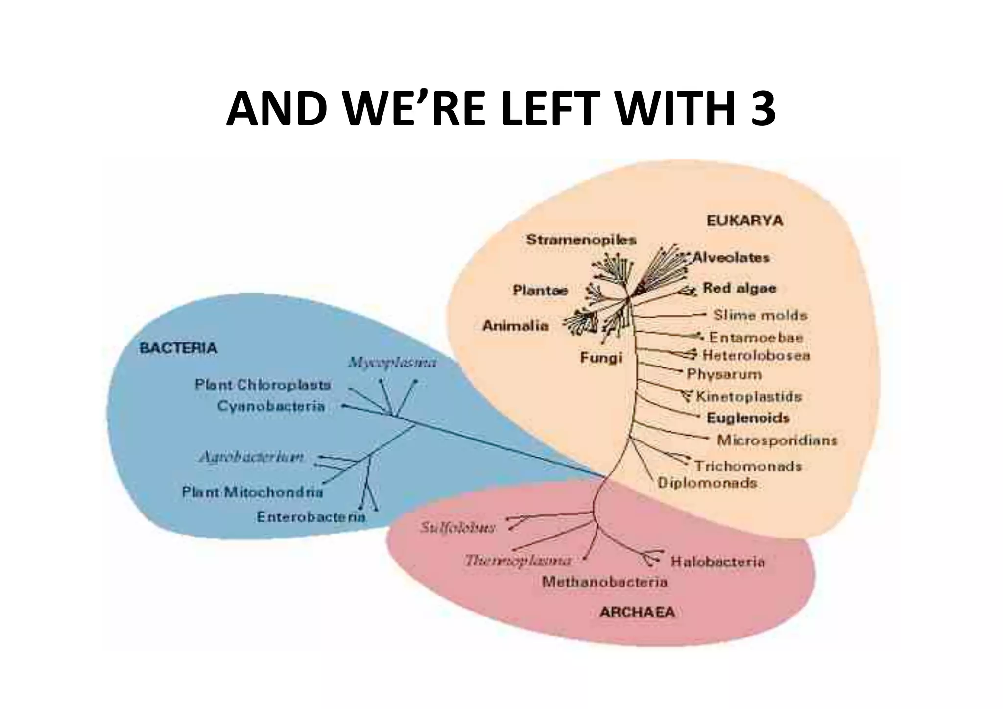 AND WE’RE LEFT WITH 3 
 