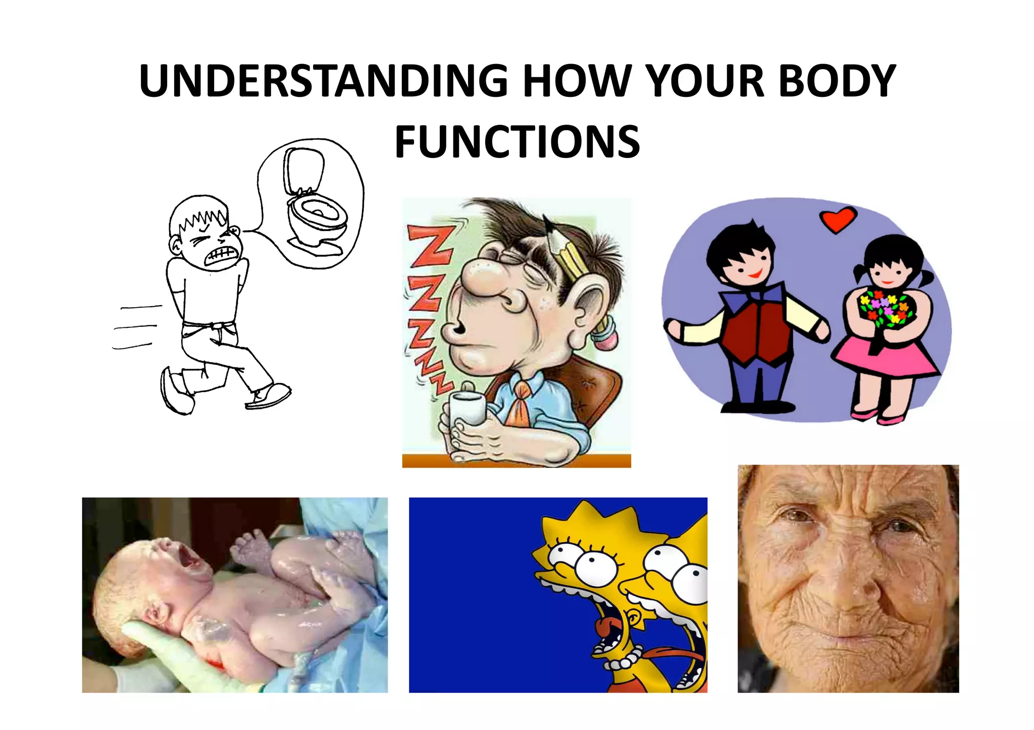 UNDERSTANDING HOW YOUR BODY 
         FUNCTIONS 
 