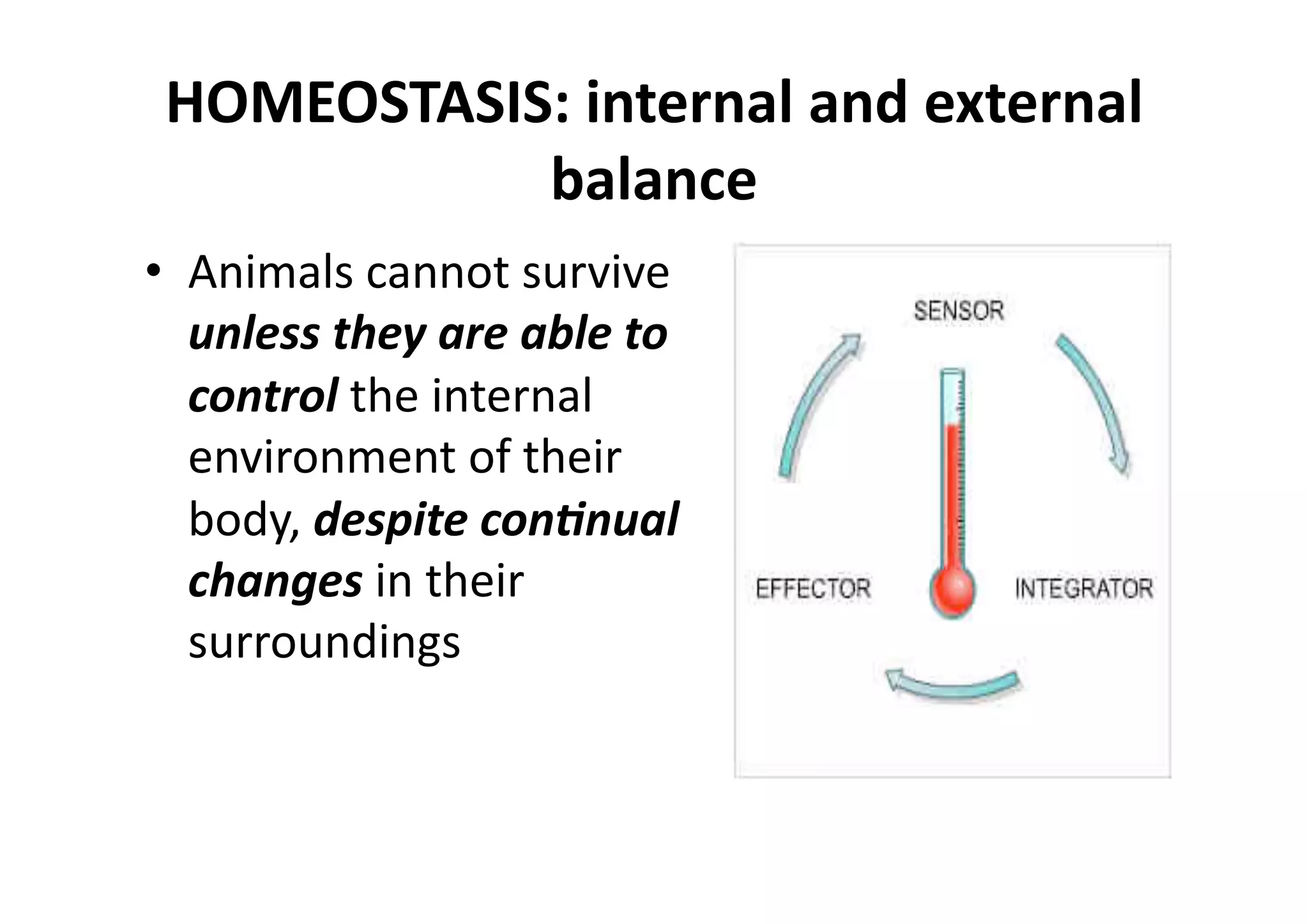 HOMEOSTASIS: internal and external 
            balance 
•  Animals cannot survive 
   unless they are able to 
   control the internal 
   environment of their 
   body, despite con5nual 
   changes in their 
   surroundings 
 