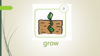 grow
 
