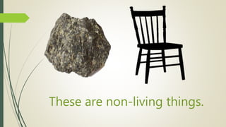 These are non-living things.
 