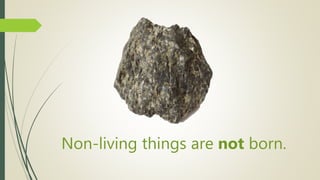 Non-living things are not born.
 