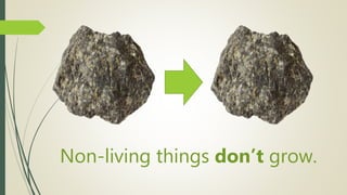 Non-living things don’t grow.
 