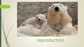 reproduction
 