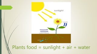 Plants food = sunlight + air + water
 