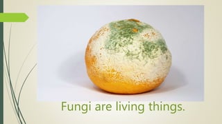 Fungi are living things.
 