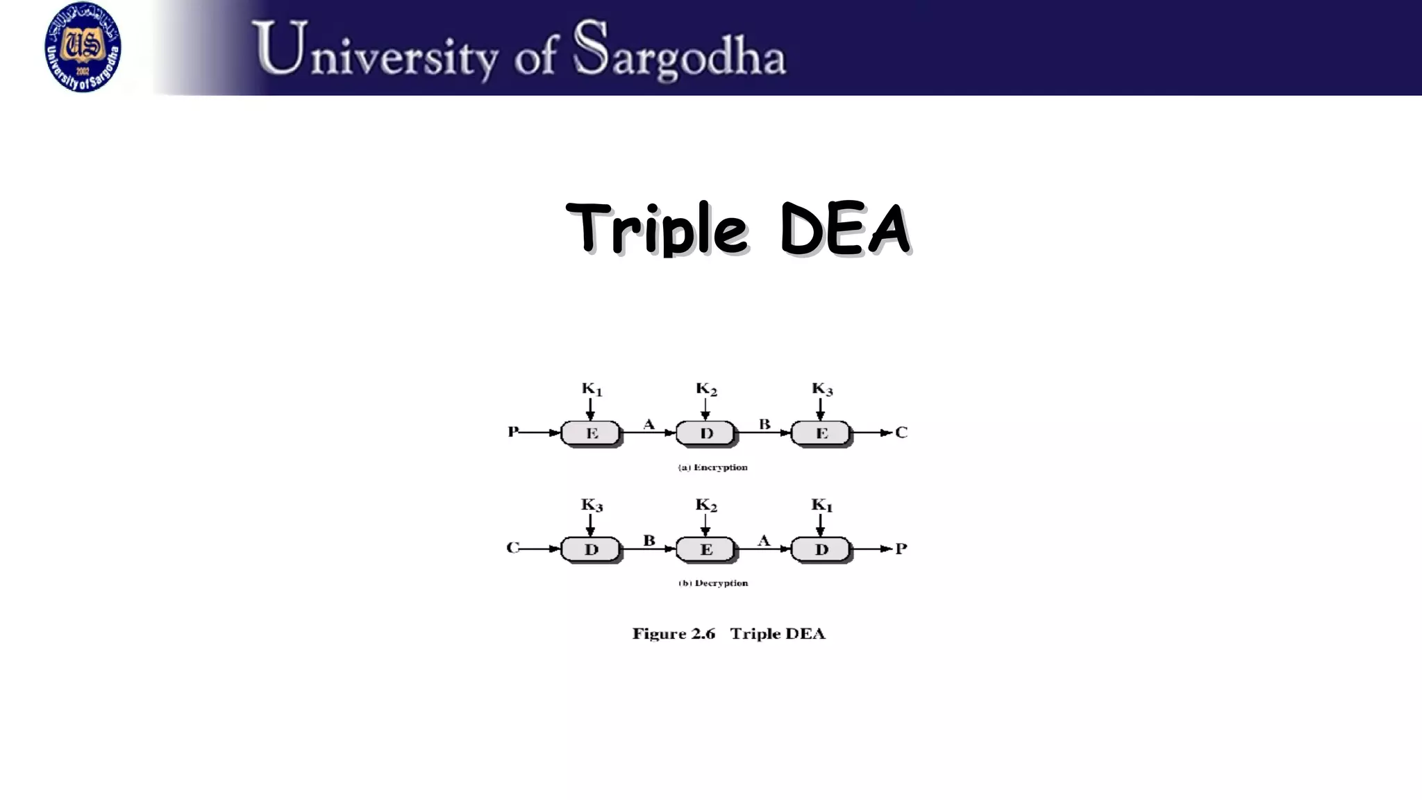 Triple DEATriple DEA
 