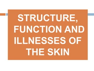 STRUCTURE,
FUNCTION AND
ILLNESSES OF
THE SKIN
 