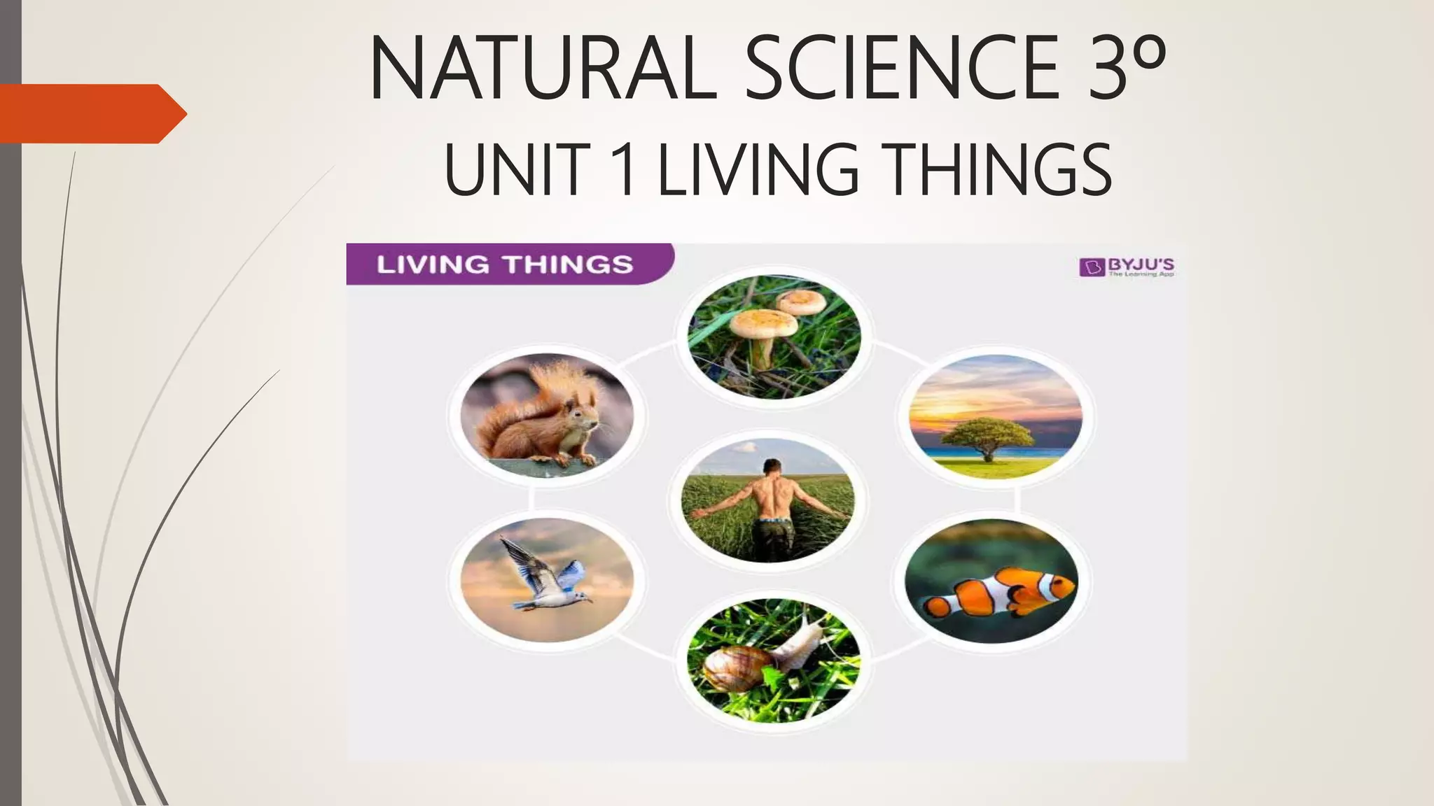 NATURAL SCIENCE 3º
UNIT 1 LIVING THINGS