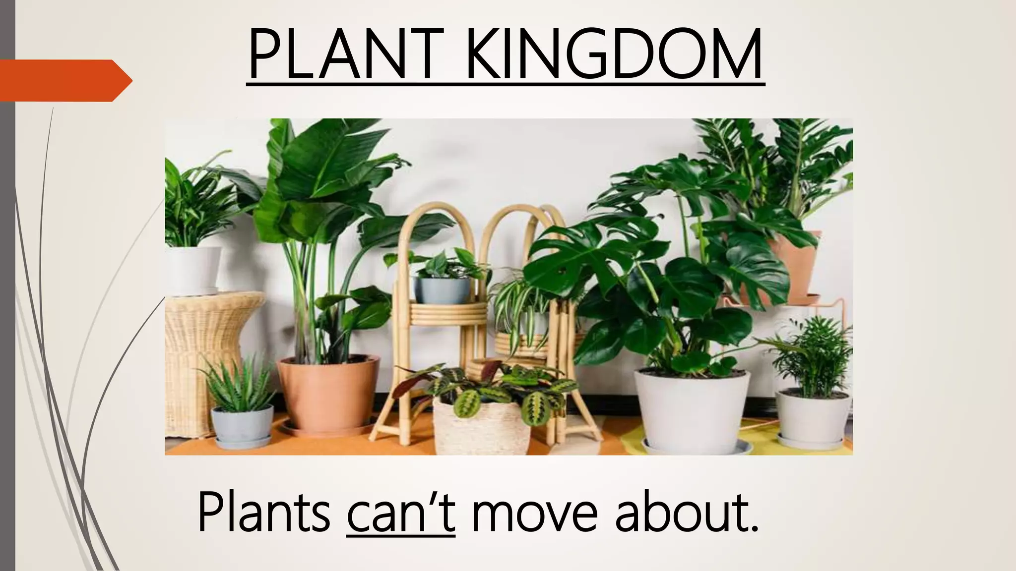 PLANT KINGDOM
Plants can’t move about.