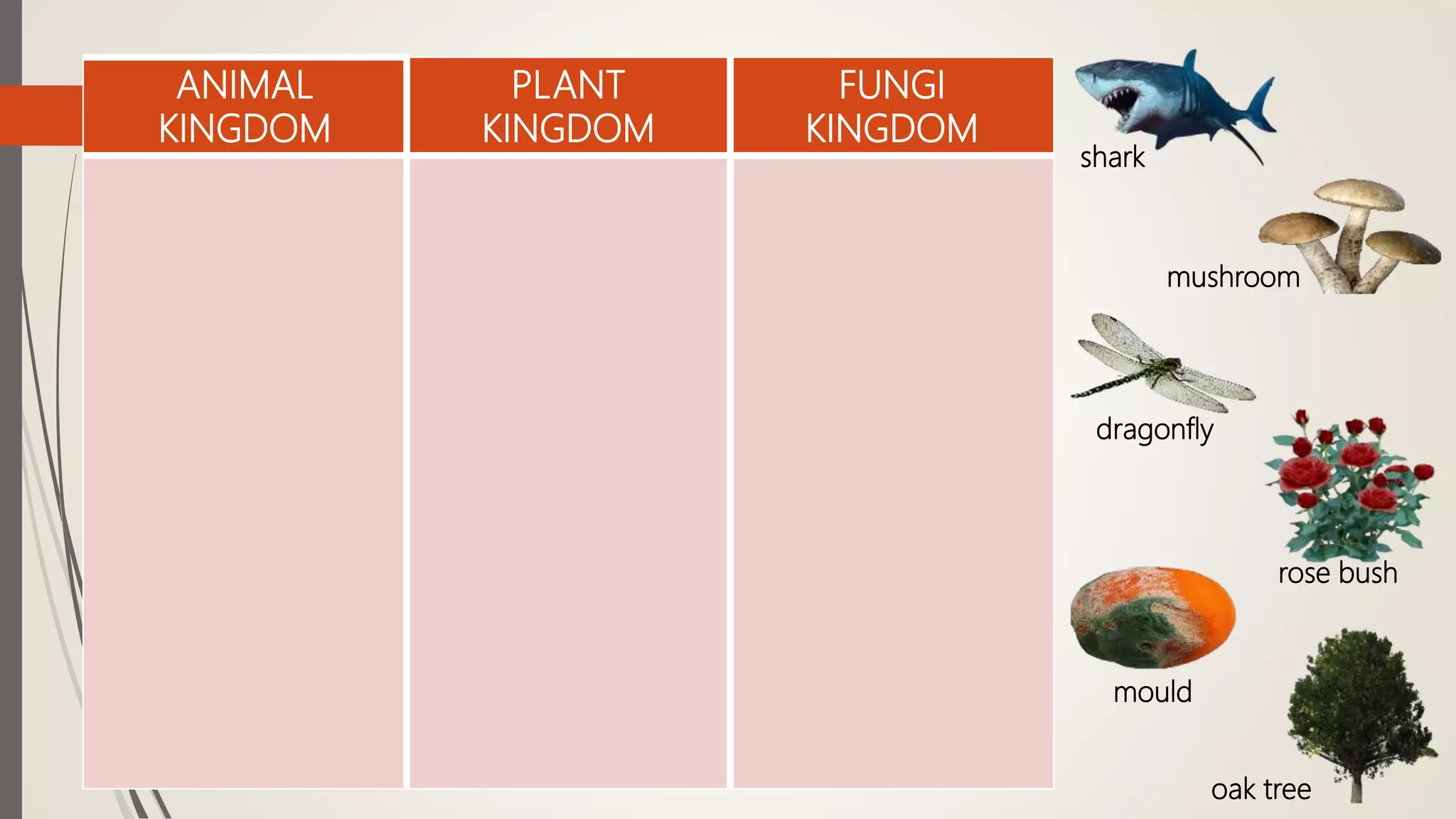 ANIMAL
KINGDOM
PLANT
KINGDOM
FUNGI
KINGDOM
shark
mushroom
dragonfly
rose bush
mould
oak tree