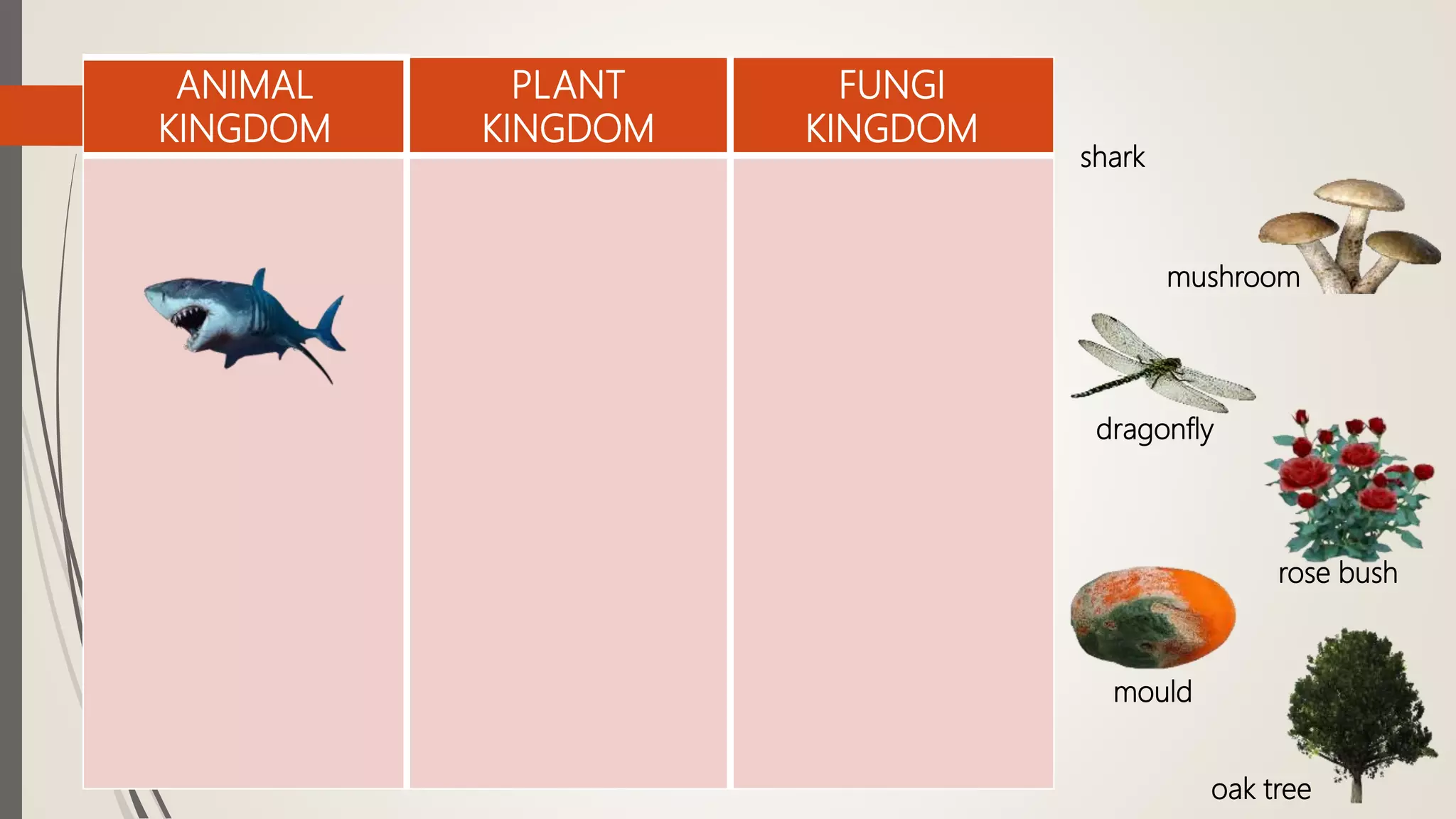 ANIMAL
KINGDOM
PLANT
KINGDOM
FUNGI
KINGDOM
shark
mushroom
dragonfly
rose bush
mould
oak tree