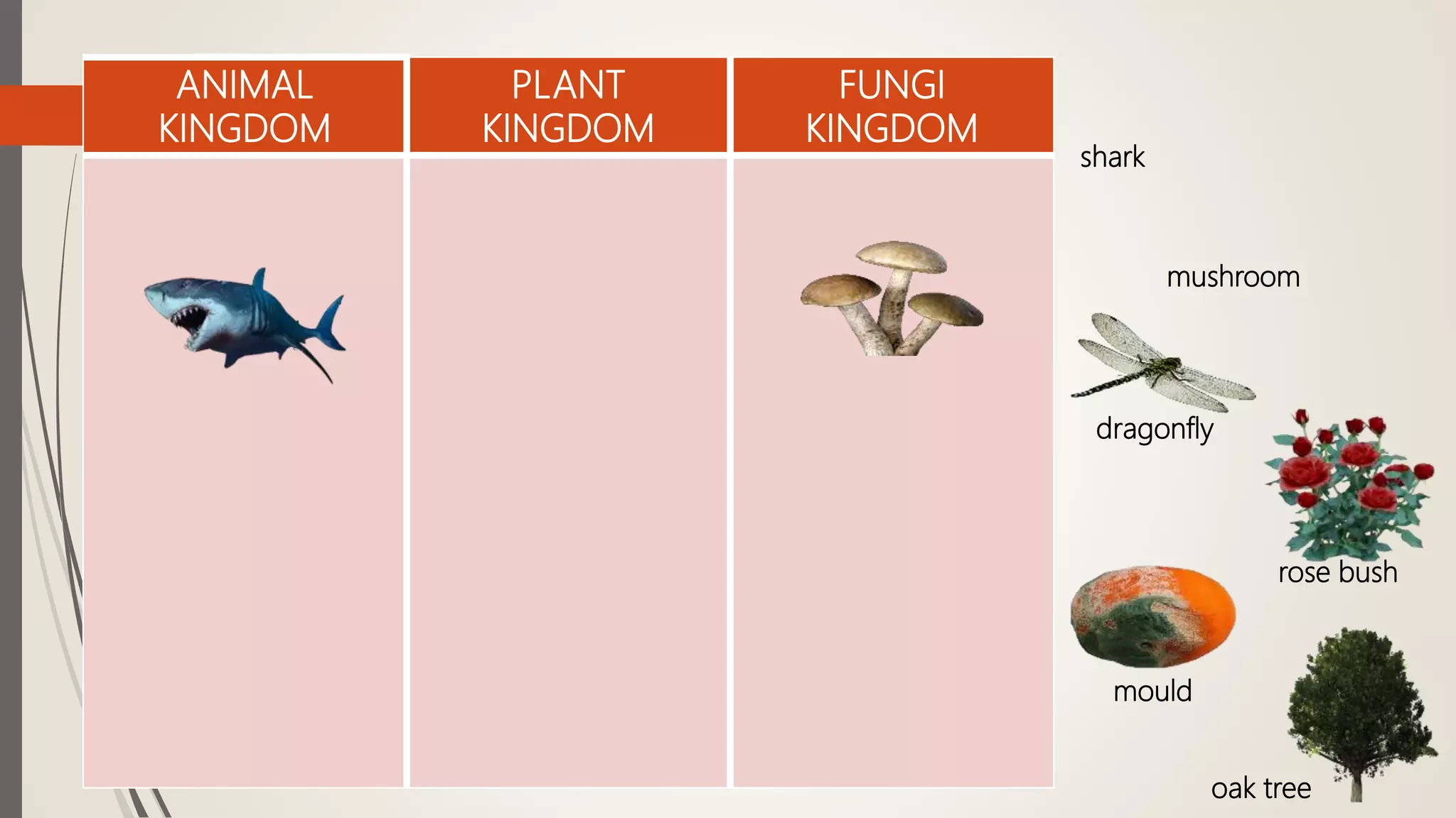 ANIMAL
KINGDOM
PLANT
KINGDOM
FUNGI
KINGDOM
shark
mushroom
dragonfly
rose bush
mould
oak tree