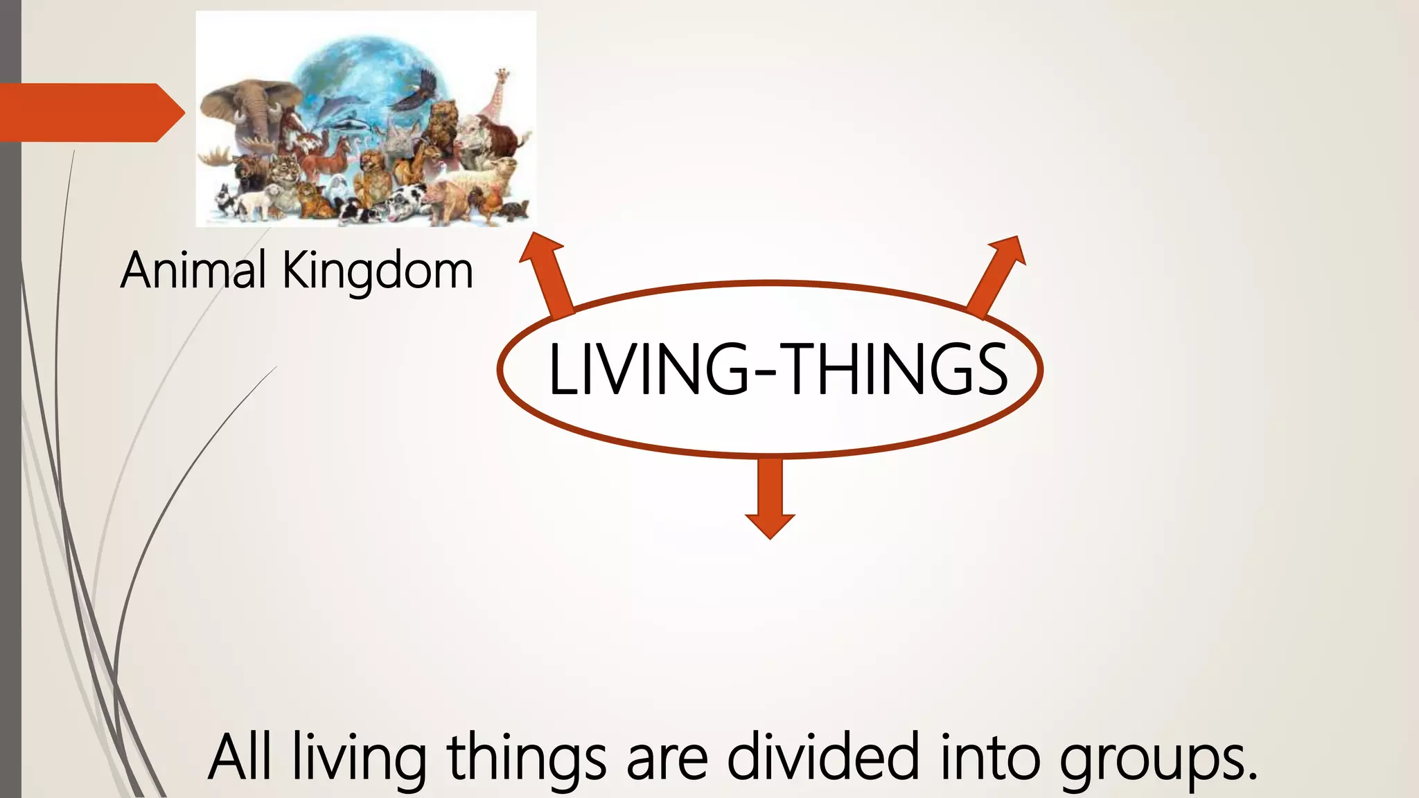 LIVING-THINGS
All living things are divided into groups.
Animal Kingdom