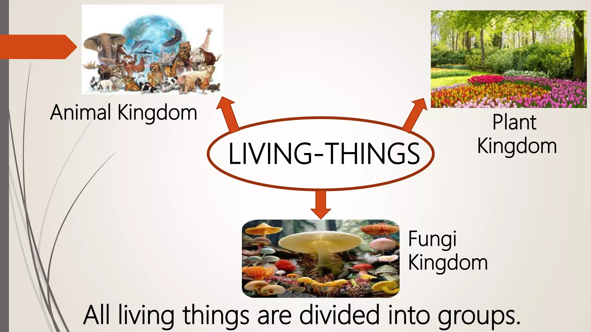 LIVING-THINGS
All living things are divided into groups.
Animal Kingdom Plant
Kingdom
Fungi
Kingdom