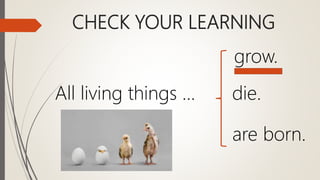 Ns3 unit 1 life processes of living things | PPTX