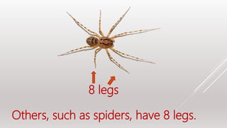 8 legs
Others, such as spiders, have 8 legs.
 