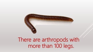 There are arthropods with
more than 100 legs.
 