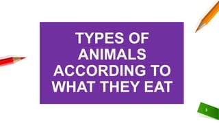 TYPES OF
ANIMALS
ACCORDING TO
WHAT THEY EAT
3
 
